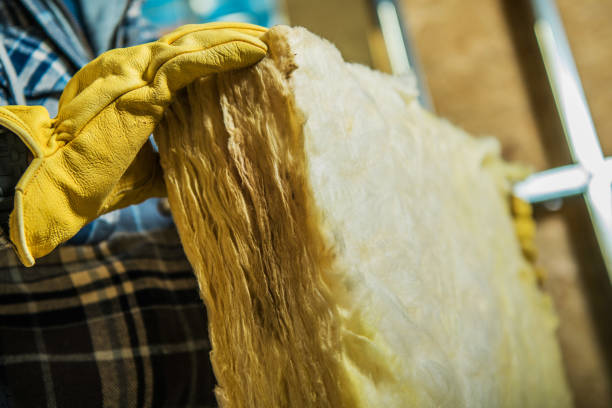 Best Wall Insulation Contractor  in Las Cruces, NM